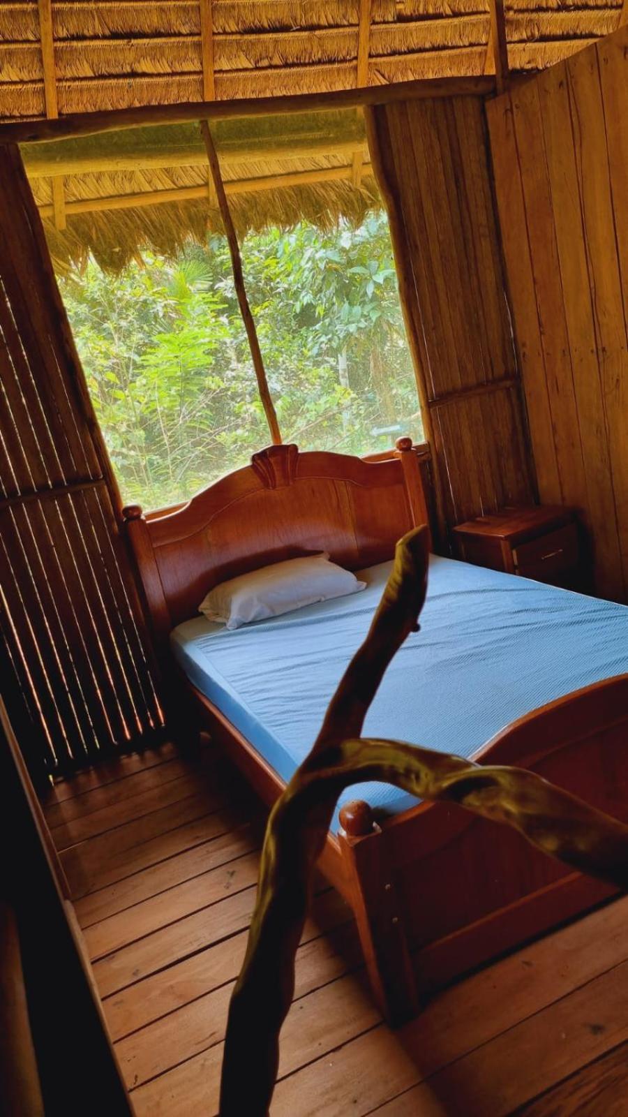 Castana Amazon Park Ostello Puerto Maldonado Esterno foto