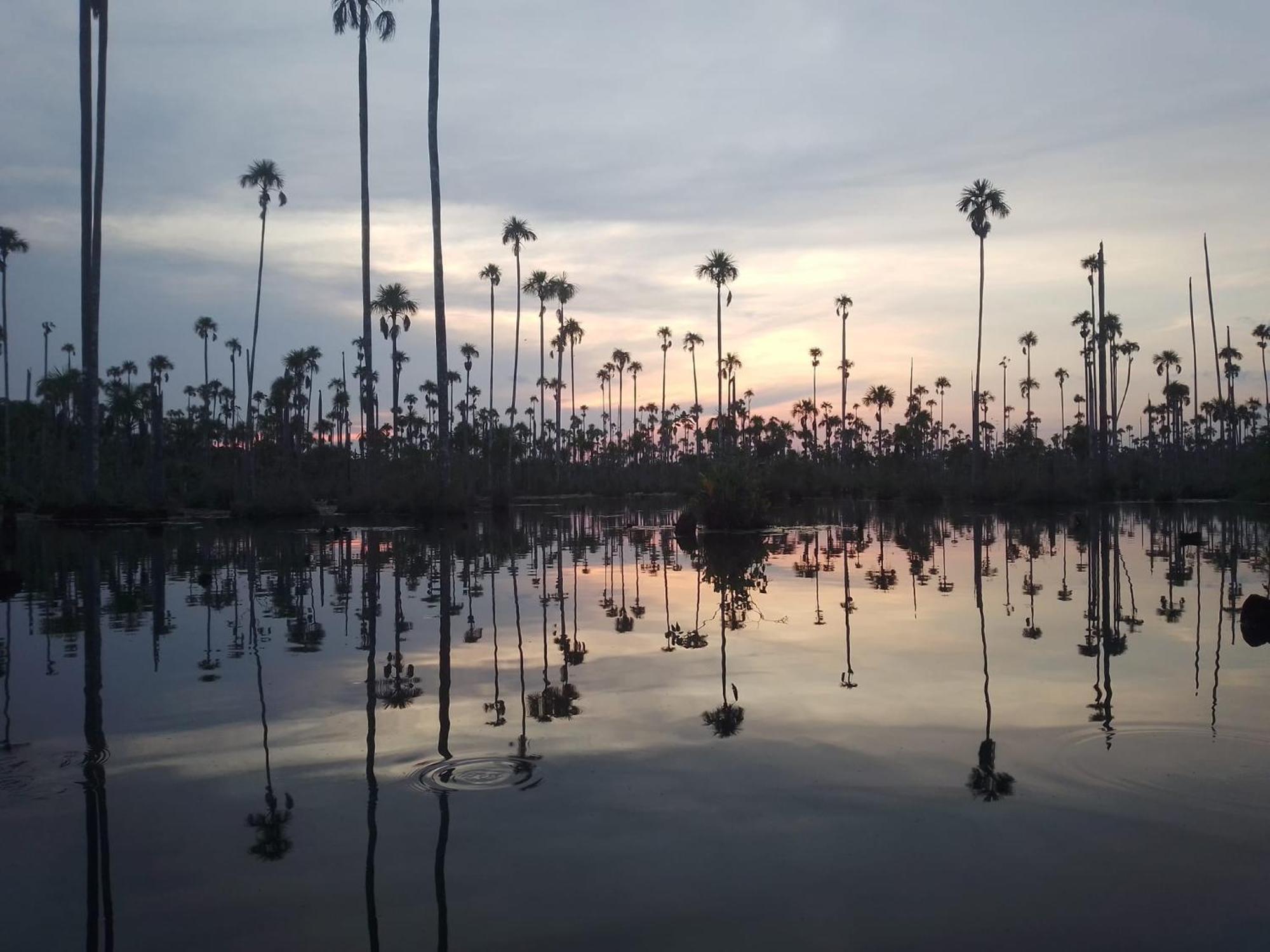 Castana Amazon Park Ostello Puerto Maldonado Esterno foto