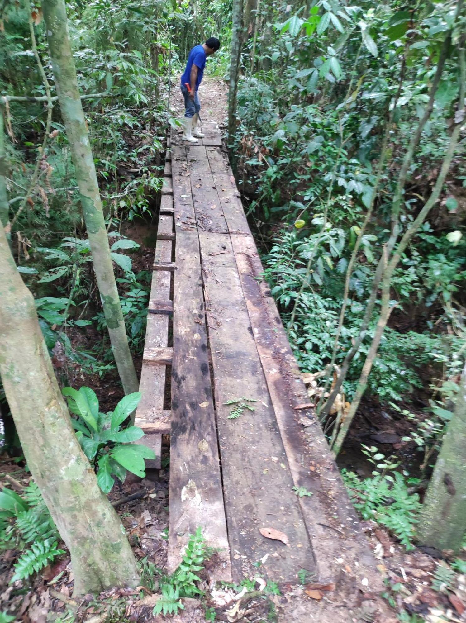 Castana Amazon Park Ostello Puerto Maldonado Esterno foto