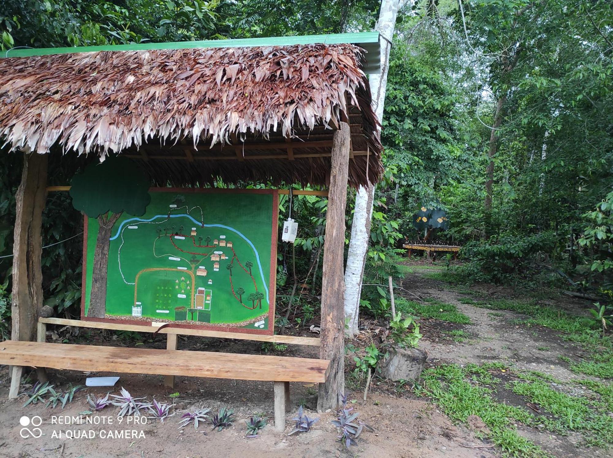 Castana Amazon Park Ostello Puerto Maldonado Esterno foto